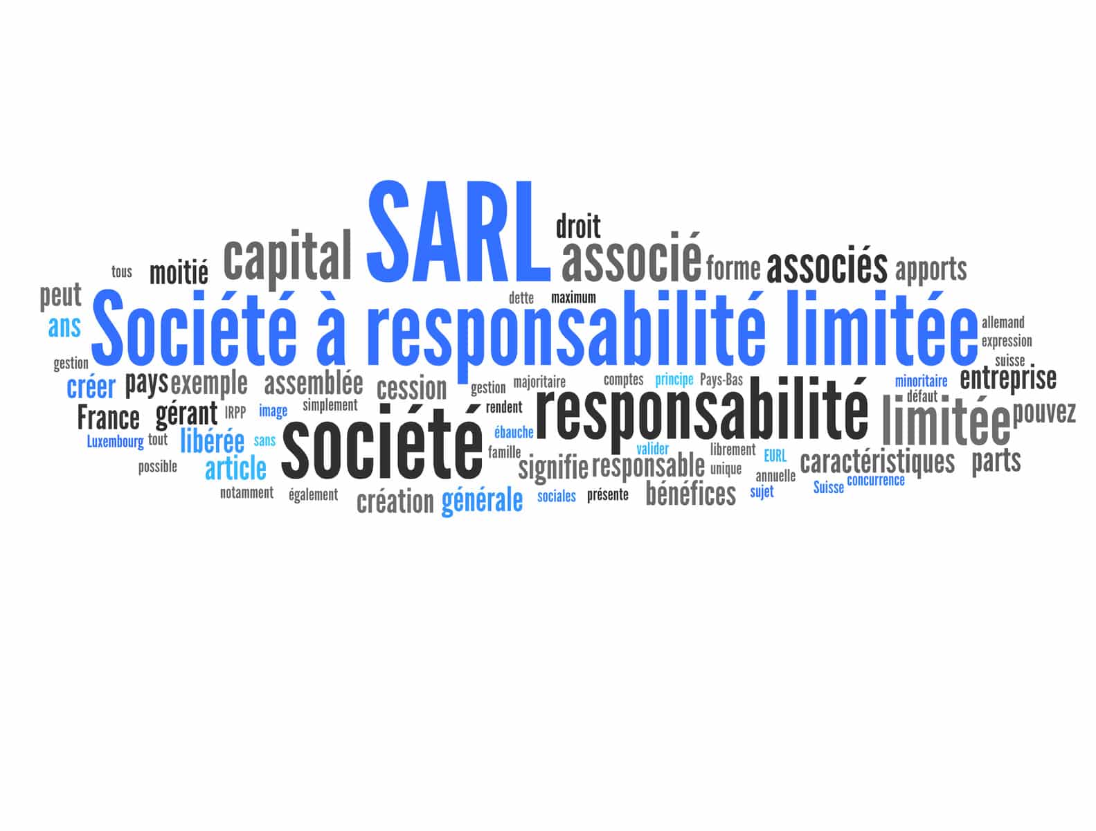 Quelle taxe pour la SARL ?
