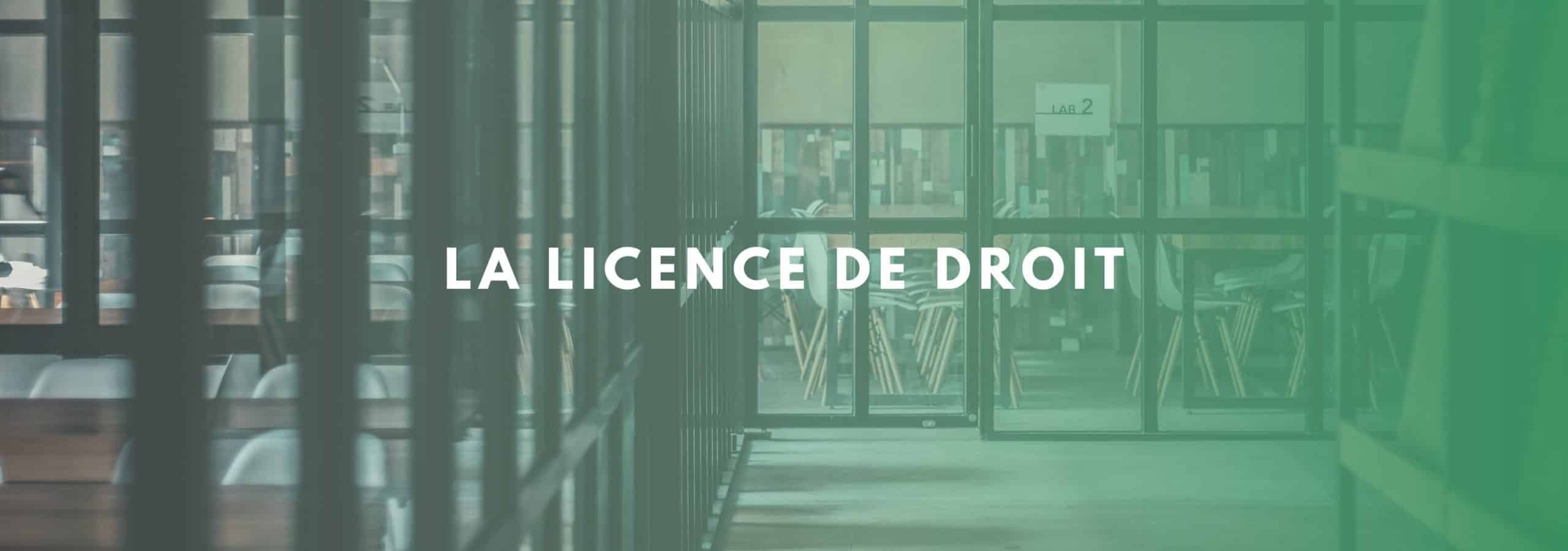 Comment choisir ses options l1 droit ?
