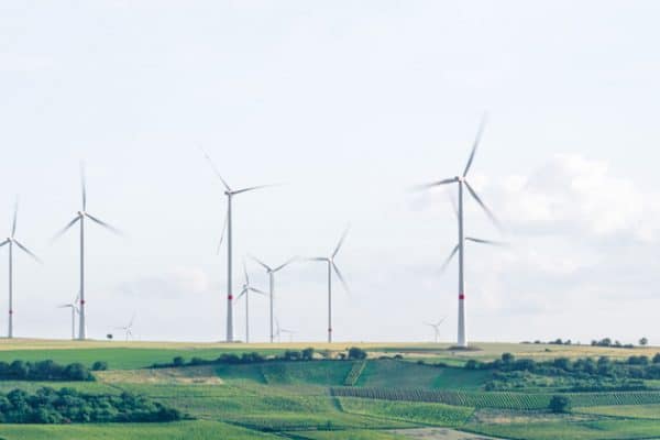 Quel métier quand on aime la nature ?